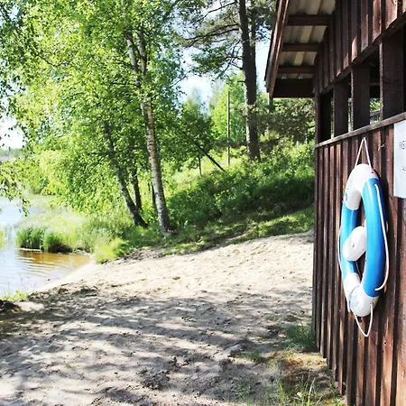 Summer Taehtelae, Alkio-opisto