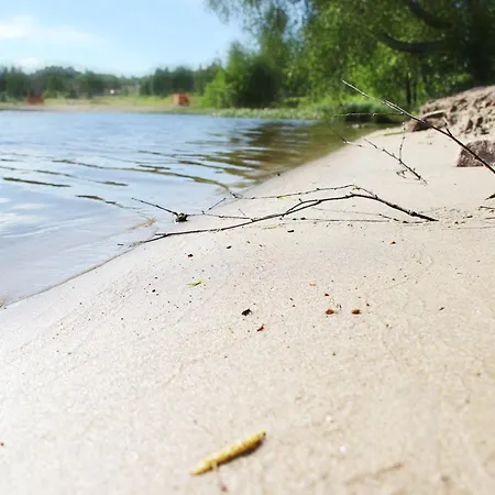 Summer Taehtelae, Alkio-opisto *