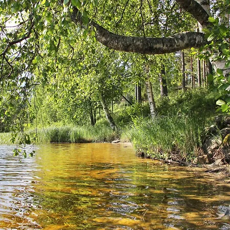 Summer Taehtelae, Alkio-opisto *