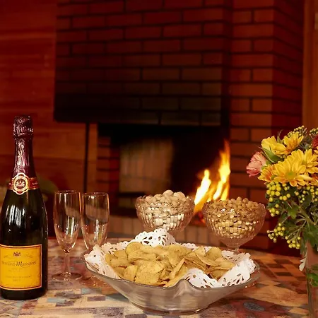 Summer Taehtelae, Alkio-opisto