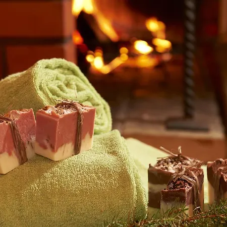 Summer Taehtelae, Alkio-opisto